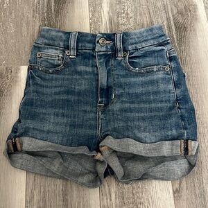 American Eagle Outfitters Curvy Shorts